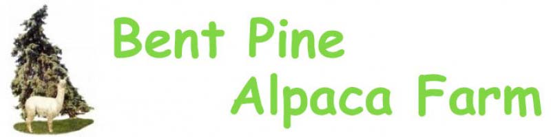 Bent Pine Alpaca Farm