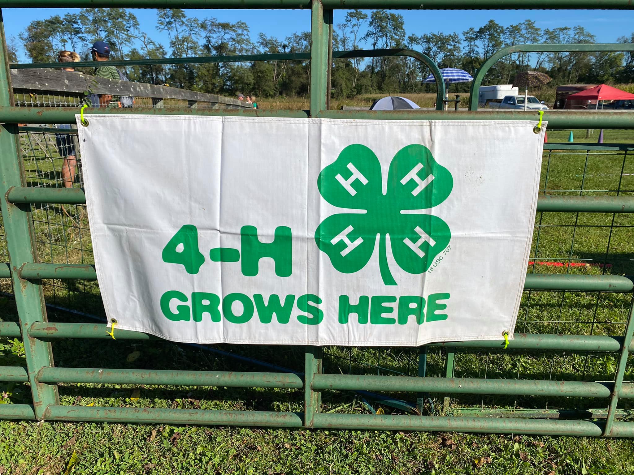 4H Grows Here